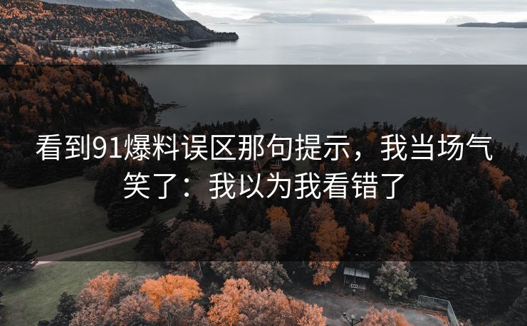看到91爆料误区那句提示，我当场气笑了：我以为我看错了