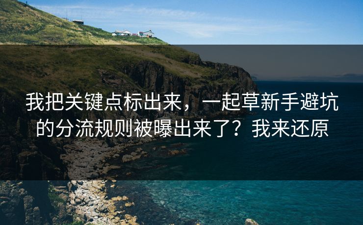 我把关键点标出来，一起草新手避坑的分流规则被曝出来了？我来还原