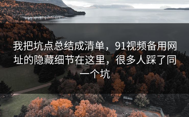 我把坑点总结成清单，91视频备用网址的隐藏细节在这里，很多人踩了同一个坑