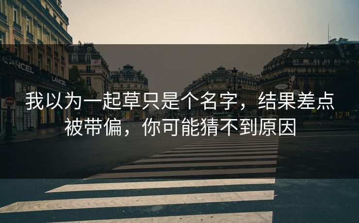 我以为一起草只是个名字，结果差点被带偏，你可能猜不到原因