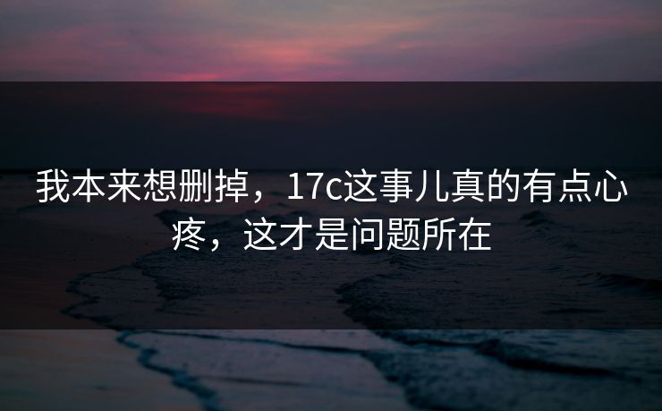 我本来想删掉，17c这事儿真的有点心疼，这才是问题所在