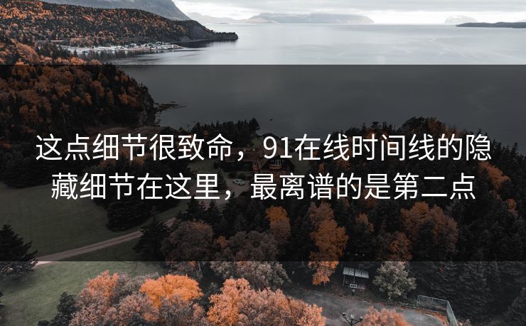 这点细节很致命，91在线时间线的隐藏细节在这里，最离谱的是第二点