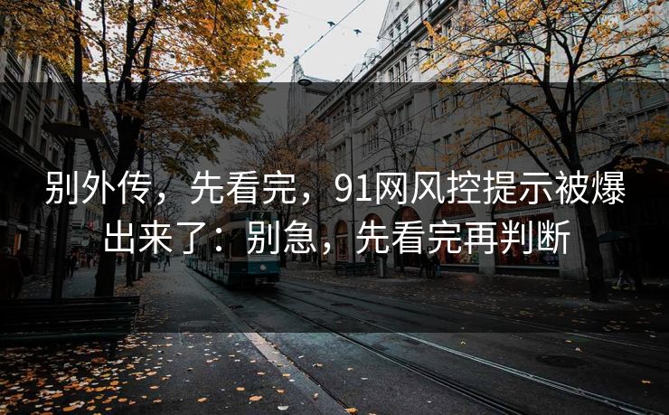 别外传，先看完，91网风控提示被爆出来了：别急，先看完再判断