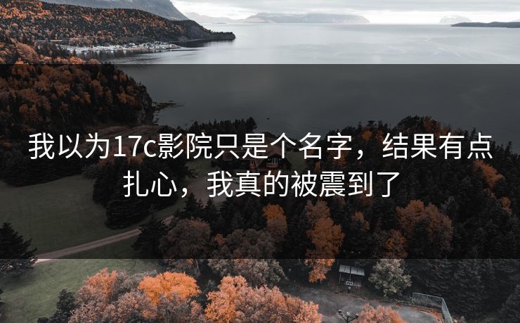 我以为17c影院只是个名字，结果有点扎心，我真的被震到了