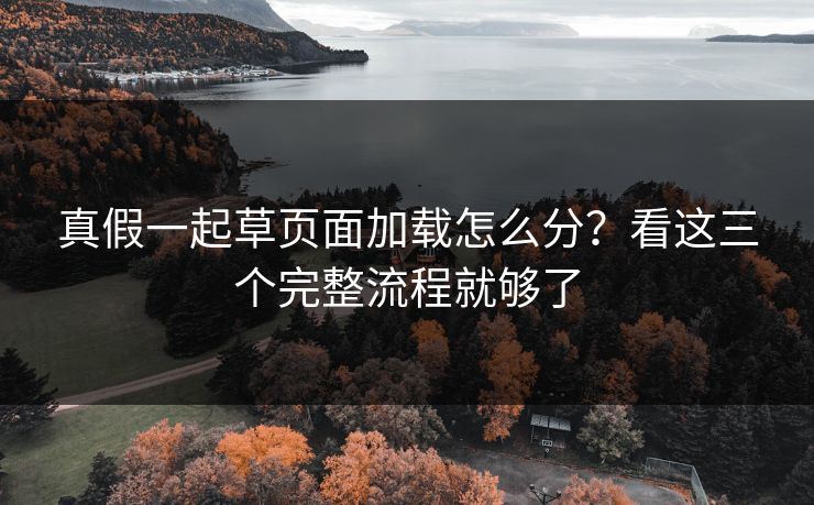 真假一起草页面加载怎么分?看这三个完整流程就够了 真假一起草页面加载怎么分?看这三个完整流程就够了